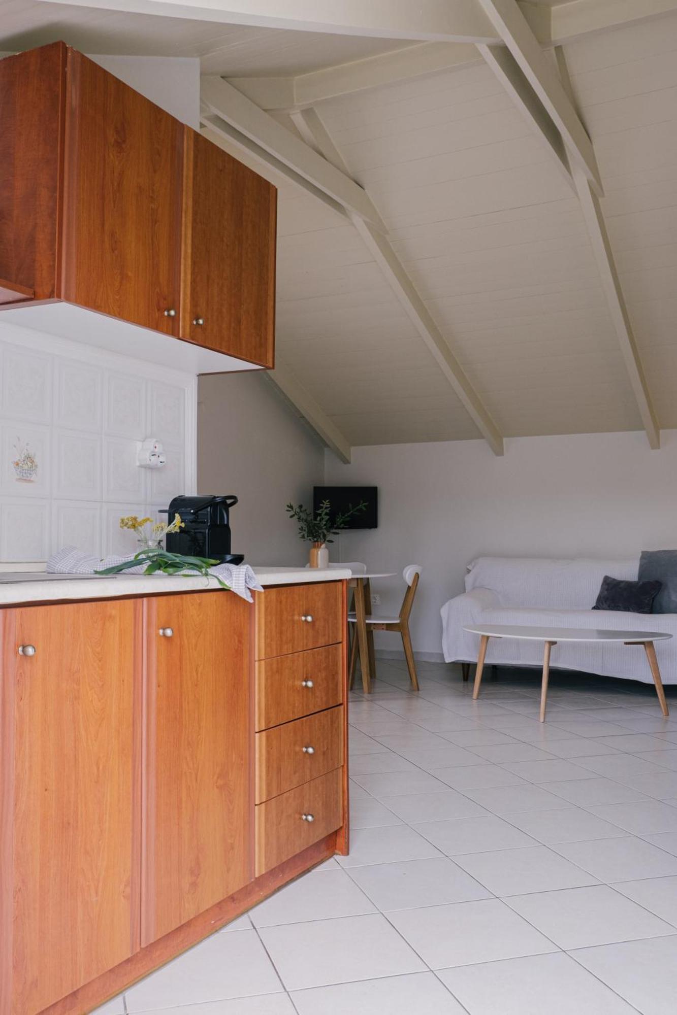 Blue House Apartments Vasilikos  Room photo